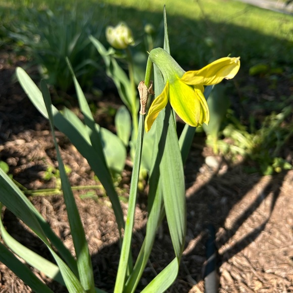 @jamiiez LOW START - $10 below starts! - Picture 8 of 10